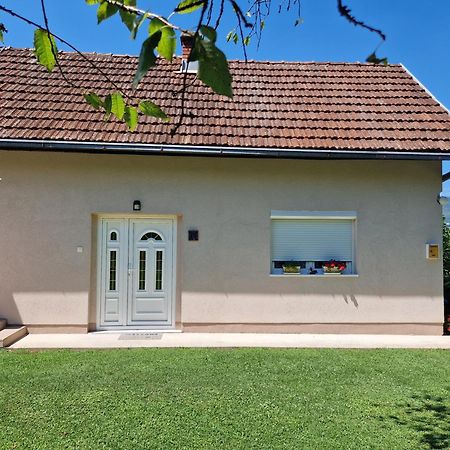 Kuca Za Odmor Dm Vila Bajina Basta Exterior foto
