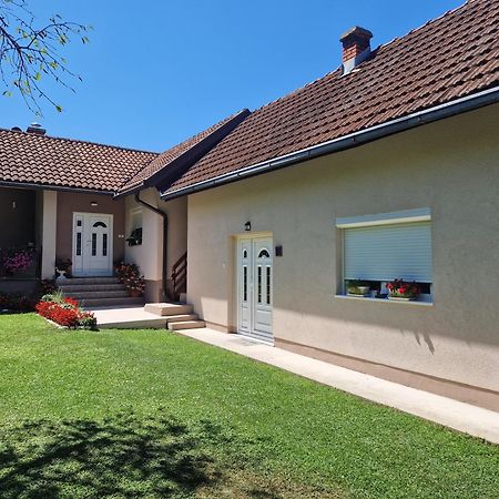 Kuca Za Odmor Dm Vila Bajina Basta Exterior foto