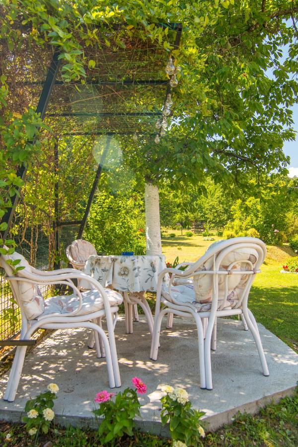 Kuca Za Odmor Dm Vila Bajina Basta Exterior foto
